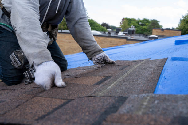 Best Roof Gutter Cleaning  in Troy Hills, NJ
